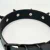 Black Mere - Image 5